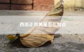 西游正传男鬼怎么加点