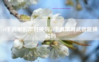 cf手游里的限时换购,cf手游限时武器能换购吗