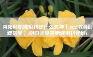 阴阳师蜡烛棺材是什么式神【2022书翁御魂搭配】(阴阳师悬赏蜡烛棺材是谁)