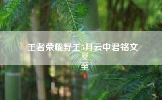 王者荣耀野王5月云中君铭文