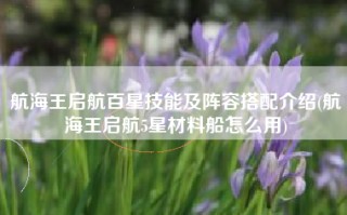 航海王启航百星技能及阵容搭配介绍(航海王启航5星材料船怎么用)
