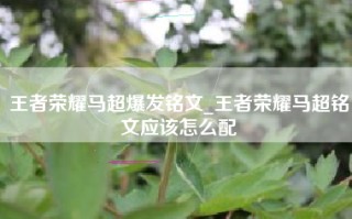 王者荣耀马超爆发铭文_王者荣耀马超铭文应该怎么配