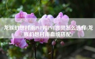 龙族幻想村雨PVP和PVE言灵怎么选择(龙族幻想村雨血统搭配)