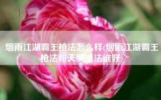 烟雨江湖霸王枪法怎么样(烟雨江湖霸王枪法和天罗棍法谁好)