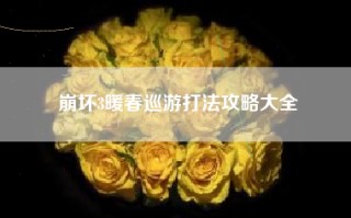 崩坏3暖春巡游打法攻略大全