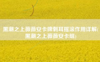 黑潮之上薇薇安卡牌刺耳摇滚作用详解(黑潮之上薇薇安卡组)
