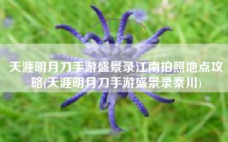 天涯明月刀手游盛景录江南拍照地点攻略(天涯明月刀手游盛景录秦川)