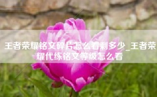 王者荣耀铭文碎片怎么看剩多少_王者荣耀代练铭文等级怎么看