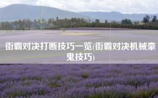 街霸对决打断技巧一览(街霸对决机械豪鬼技巧)