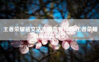 王者荣耀铭文法术吸血有用吗(王者荣耀最高吸血铭文)