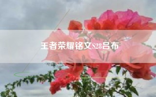 王者荣耀铭文S28吕布