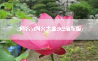 cf网名(cf网名大全2022最新版)