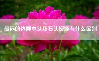 最远的边陲木头及石头资源有什么区别