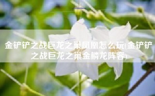 金铲铲之战巨龙之巢凤凰怎么玩(金铲铲之战巨龙之巢金鳞龙阵容)