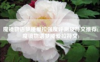 魔镜物语梦魇爱拉强度评测及符文推荐(魔镜物语梦魇爱拉符文)