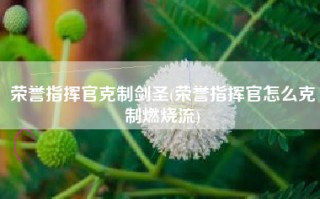 荣誉指挥官克制剑圣(荣誉指挥官怎么克制燃烧流)