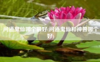 问道鬼仙哪个最好(问道鬼仙和神兽哪个好)