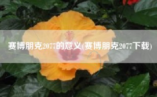 赛博朋克2077的意义(赛博朋克2077下载)