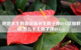 绝地求生刺激战场卡无限子弹BUG详细教程(怎么卡无限子弹BUG())