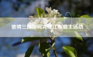 驰骋三国如何完成江东霸主活动