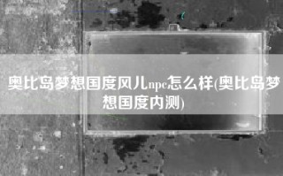 奥比岛梦想国度风儿npc怎么样(奥比岛梦想国度内测)