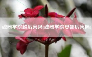 魂器学院麟厉害吗(魂器学院安娜厉害吗)