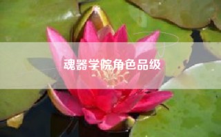 魂器学院角色品级