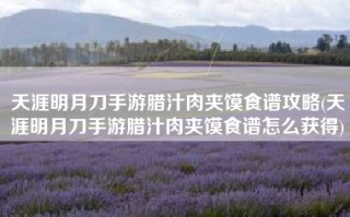 天涯明月刀手游腊汁肉夹馍食谱攻略(天涯明月刀手游腊汁肉夹馍食谱怎么获得)