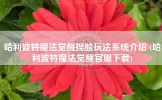 哈利波特魔法觉醒捏脸玩法系统介绍 (哈利波特魔法觉醒官服下载)
