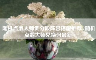 随机点数大师低分段阵容搭配推荐 (随机点数大师兑换码最新)