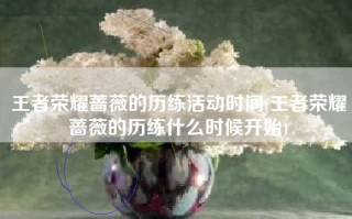 王者荣耀蔷薇的历练活动时间(王者荣耀蔷薇的历练什么时候开始)