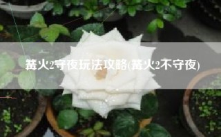 篝火2守夜玩法攻略(篝火2不守夜)