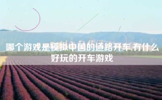 哪个游戏是模拟中国的道路开车,有什么好玩的开车游戏