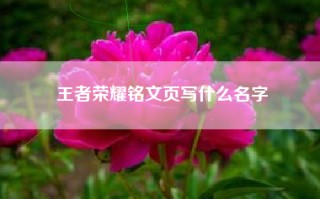 王者荣耀铭文页写什么名字