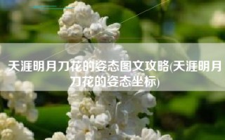 天涯明月刀花的姿态图文攻略(天涯明月刀花的姿态坐标)