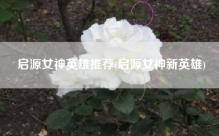 启源女神英雄推荐(启源女神新英雄)