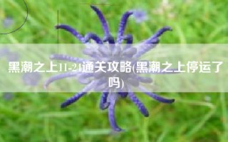 黑潮之上11-24通关攻略(黑潮之上停运了吗)