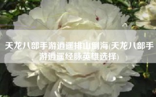 天龙八部手游逍遥排山倒海(天龙八部手游逍遥经脉英雄选择)