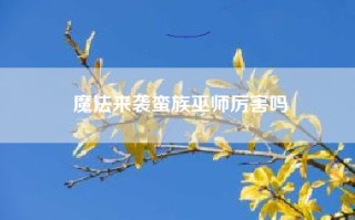 魔法来袭蛮族巫师厉害吗