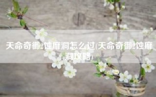 天命奇御2蚀靡洞怎么过(天命奇御2蚀靡洞攻略)