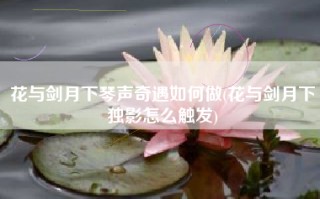 花与剑月下琴声奇遇如何做(花与剑月下独影怎么触发)