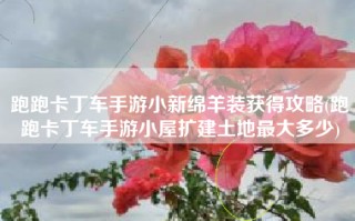 跑跑卡丁车手游小新绵羊装获得攻略(跑跑卡丁车手游小屋扩建土地最大多少)