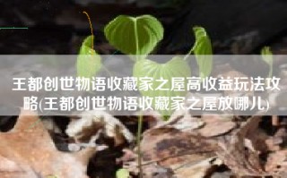 王都创世物语收藏家之屋高收益玩法攻略(王都创世物语收藏家之屋放哪儿)