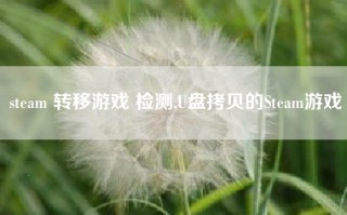 steam 转移游戏 检测,U盘拷贝的Steam游戏