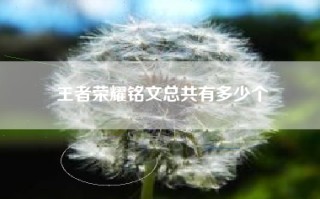 王者荣耀铭文总共有多少个