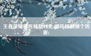 王者荣耀哪吒杨戬对比(哪吒杨戬哪个厉害)