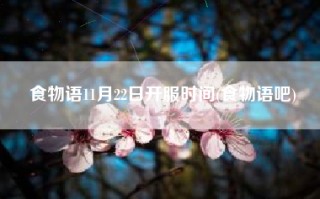 食物语11月22日开服时间(食物语吧)