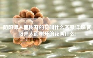 阴阳师人面树开的花叫什么答案详解(阴阳师人面树开的花叫什么)