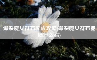 爆裂魔女符石养成攻略(爆裂魔女符石品质怎么看)