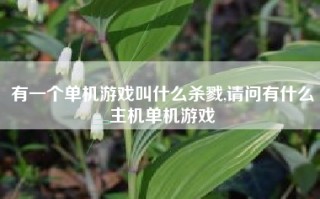 有一个单机游戏叫什么杀戮,请问有什么主机单机游戏